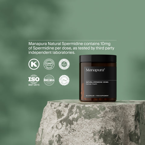 Natural Spermidine by Manapura | The Best, Pure, Clinical-Grade Longevity & Nootropic Supplements | Free Shipping